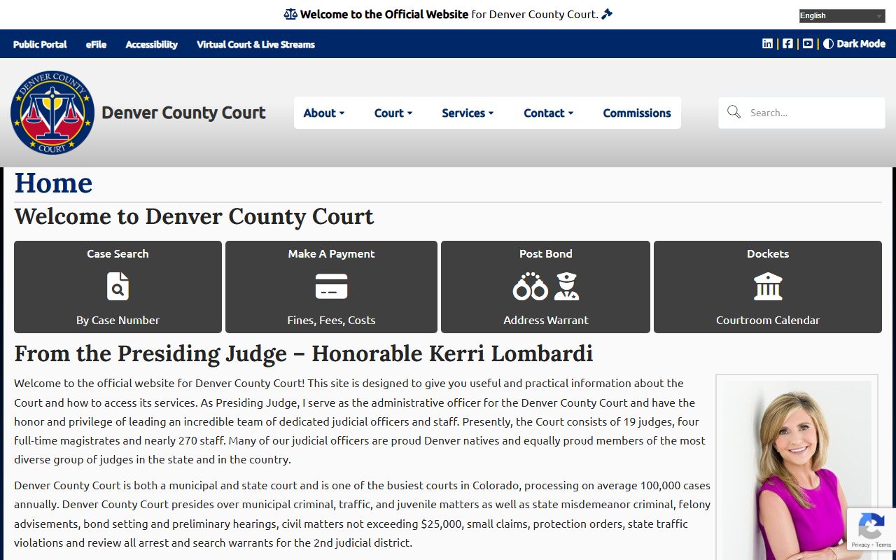 Denver County Court homepage for court docket searches